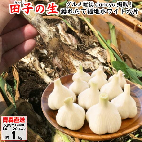 生にんにく 田子にんにく 青森産 なまにんにく S/Mサイズ混合 1kg にんにく 生ニンニク 訳あ...