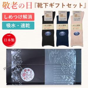 グラントイーワンズ TAIKAN 5本指ソックス サイズS 2足組 : 土佐