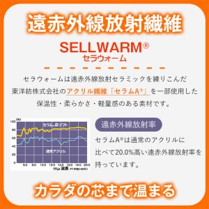 3足 五本指 遠赤外線 あったか 靴下 レディ...の詳細画像4