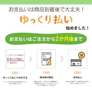 スパバッグ 温泉 旅行 ジム メッシュ お風呂...の詳細画像4