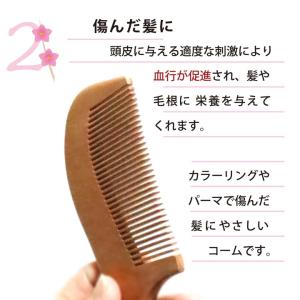 1000円ポッキリ 送料無料 桃源郷のやさしい...の詳細画像1