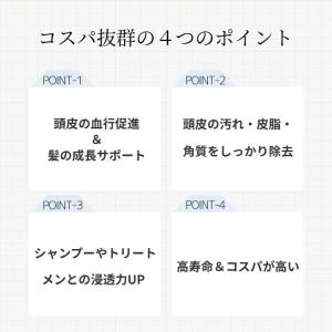 ポイント10倍 1000円ポッキリ 送料無料 ...の詳細画像3