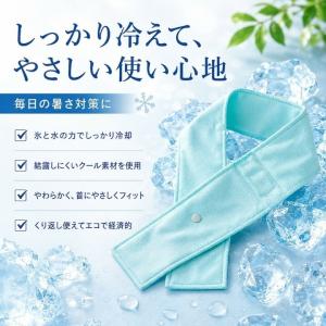 首巻き氷のう アイスクーラー RM36388 ...の詳細画像4