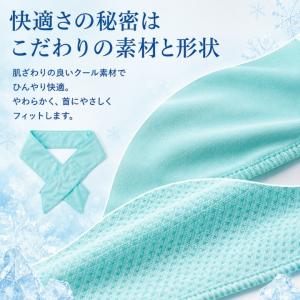 首巻き氷のう アイスクーラー RM36388 ...の詳細画像5