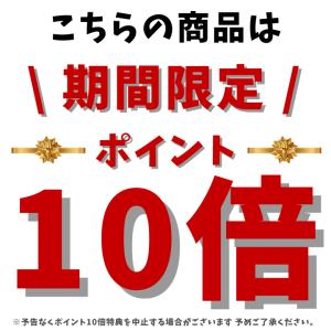 ポイント10倍 1000円ポッキリ 送料無料 ...の詳細画像1