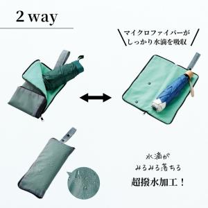 ポイント10倍 1000円ポッキリ 送料無料 ...の詳細画像2