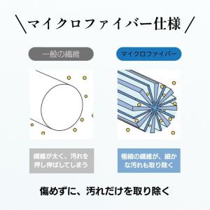 ポイント10倍 1000円ポッキリ 送料無料 ...の詳細画像5