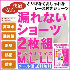 2枚組 失禁ショーツ 尿漏れパンツ 軽失禁 女性 婦人用 吸水 軽量用