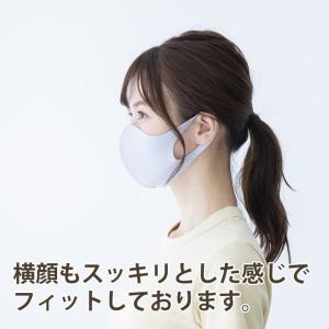 マスク 洗える ベージュ ウレタン 5枚入り ...の詳細画像2