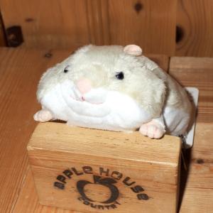 新品　モン・スイユ 　シロクマくん　S　ホワイトベア 楽天市場】【ぬいぐるみ】ポーム【S】【白熊】【クマ】【シロクマ