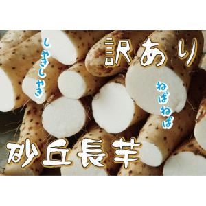 業務用に最適 青森県産 規格外