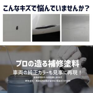 ペイント フォルクスワーゲン車用 アクエリアス...の詳細画像2