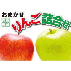 否バラ詰め 青森県産【B級品・サンふじ・20kg（20キロ）用 木箱 サイズ