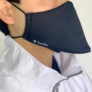 チームファイブ Team Five TFレフリーマスク バスケットボール