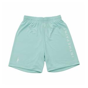 IN THE PAINT SHORTS インザペイント バスパン バスケットパンツ バスケットボールウェア 2024SS(itp2430771)｜applesp