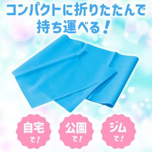 ARTEC アーテック トレーニング用ラバーバ...の詳細画像3
