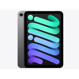 タブレットPC Apple アップル iPad mini 8.3インチ Wi-Fiモデル 128GB 2024年秋モデル MXN63J/A スペースグレイ iPadOS 7901-2710070078257｜applied-net