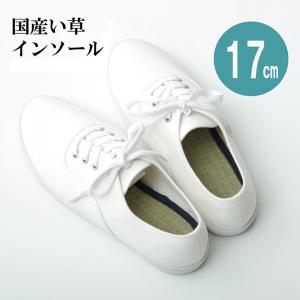 イケヒコ インソール ジュニア 消臭 抗菌 「い草インソール」 ネイビー 約17cm シンプル ネイビー 3658579  -お取り寄せ品-｜applied-net