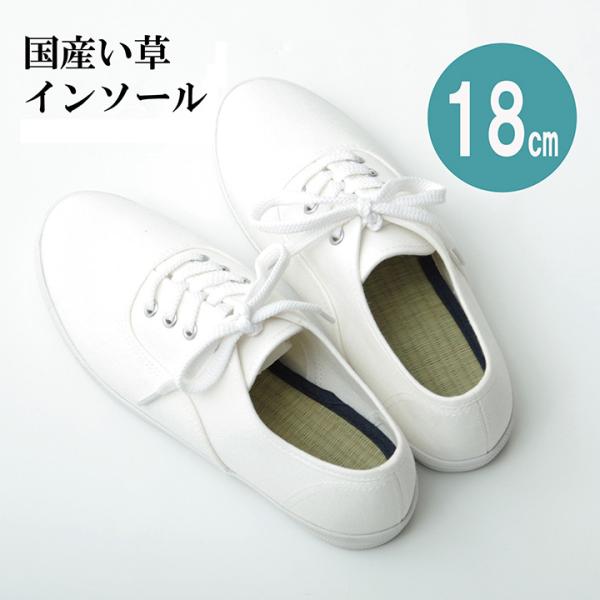 イケヒコ インソール ジュニア 消臭 抗菌 「い草インソール」 ネイビー 約18cm シンプル ネイ...