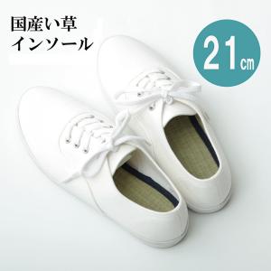 イケヒコ インソール ジュニア 消臭 抗菌 「い草インソール」 ネイビー 約21cm シンプル ネイビー 3658519  -お取り寄せ品-｜applied-net