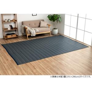 イケヒコ 洗える PPカーペット アウトドア ペット ネイビー 本間2畳(約191×191cm) シンプル ネイビー 2126512  -お取り寄せ品-｜applied-net
