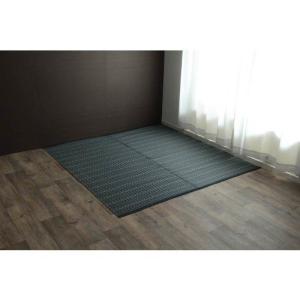 イケヒコ 洗える PPカーペット アウトドア ペット ネイビー 本間10畳(約477×382cm) シンプル ネイビー 2126519  -お取り寄せ品-｜applied-net