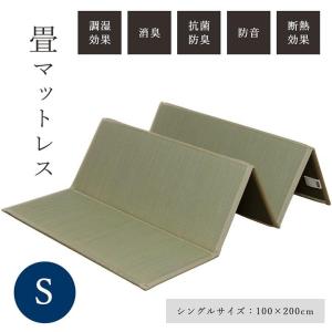 イケヒコ い草 ユニット 畳 軽量 抗菌防臭 消臭 防音 断熱性 お手入れ 簡単 楽 収納 便利 約100×200cm シンプル グリーン 8633209  -お取り寄せ品-｜applied-net