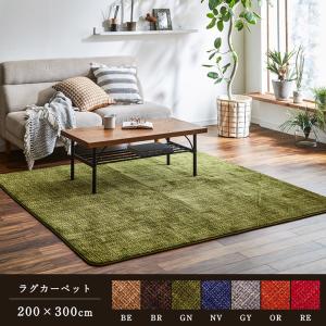 イケヒコ ラグ カーペット マット 珊瑚マイヤ 洗える 滑りにくい グリーン 約200×300cm シンプル グリーン 5705449  -お取り寄せ品-｜applied-net