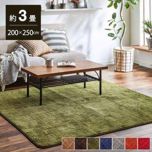 イケヒコ ラグ カーペット マット 珊瑚マイヤ 洗える 滑りにくい グレー 約200×250cm シンプル グレー 5705489  -お取り寄せ品-｜applied-net