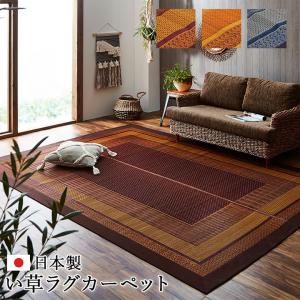 イケヒコ ラグ 国産 純国産 日本製 い草 モダン 抗菌防臭 自然素材 ネイビー 約176×230cm モダン ネイビー 8238910  -お取り寄せ品-｜applied-net