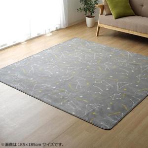 イケヒコ 抗菌・防臭 ウォッシャブル フランネル ホットカーペットカバー 「WSミリオン RUG」グレー約200×300cm カジュアル グレー 9809984  -お取り寄せ品-｜applied-net