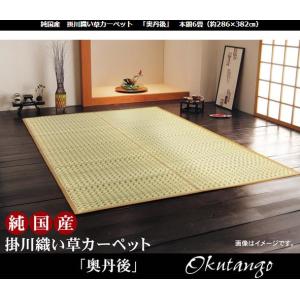 イケヒコ 純国産 掛川織 い草カーペット 「奥丹後」 ベージュ 本間6畳(約286×382cm) シンプル ベージュ 4412916  -お取り寄せ品-｜applied-net
