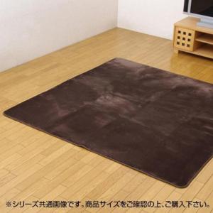 イケヒコ 水分をはじく 撥水加工カーペット 「撥水リラCE」 ブラウン 185×185cm シンプル ブラウン 3948169  -お取り寄せ品-｜applied-net