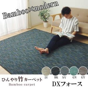 イケヒコ ラグ カーペット 無地 シンプル バンブー 竹 「DXフォース」 グレー 約140×200cm カジュアル グレー 5370450  -お取り寄せ品-｜applied-net