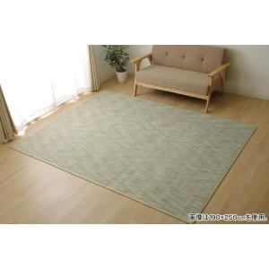 イケヒコ ラグ カーペット 無地 シンプル バンブー 竹 「DXフォース」 アイボリー 約140×200cm カジュアル アイボリー 5370550  -お取り寄せ品-｜applied-net