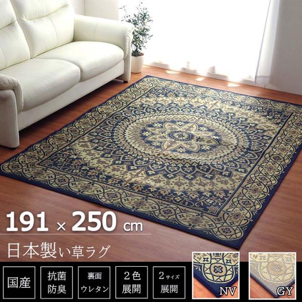 イケヒコ ラグ 長方形 夏用 ふっくら い草 サークル ネイビー 191×250cm シンプル ネイ...