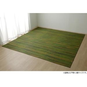 イケヒコ 純国産 い草花ござカーペット 「カイン」 グリーン 江戸間4.5畳(約261×261cm) モダン グリーン 4132804  -お取り寄せ品-｜applied-net
