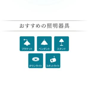 アイリスオーヤマ LED電球 E17 広配光2...の詳細画像2