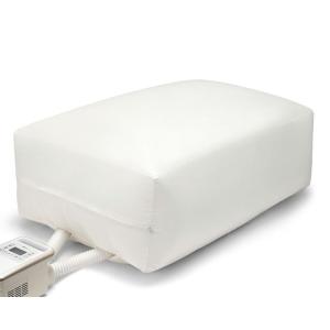 アイリスオーヤマ ダニ撃退ふとん乾燥袋 FK-DGB1 - 0501-4967576510400-ds -お取り寄せ品-｜applied-net