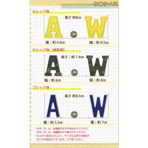 アルファベットワッペン 枠付き カレッジ体 ・...の詳細画像2