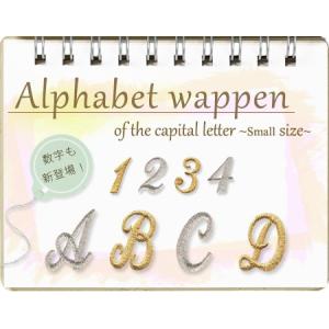各種★お名前 刺繍 ローマ字 筆記体 オーダー ワッペン バッグ などに ブロドリー 文字ワッペン アルファベット 筆記体 大 O〜Z 1枚