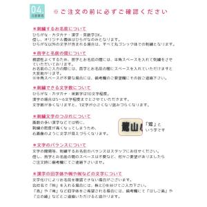 刺繍お名前入れワッペン ワンポイント 野球 ・...の詳細画像4