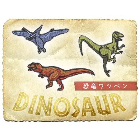 刺繍ワッペン 恐竜 ・ 総刺繍 ワッペン 恐竜 肉食 プテラノドン ティラノサウルス T-Rex ヴ...