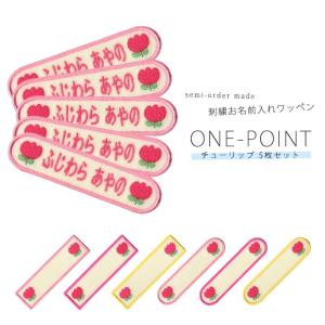 刺繍お名前入れワッペン ワンポイント りんご ・ 名入れ 刺繍 ワッペン