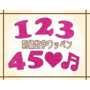刺繍数字ワッペン 濃いピンク ・ 文字ワッペン ...の商品画像