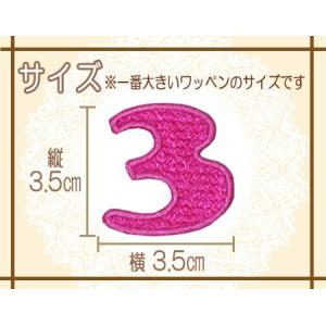刺繍数字ワッペン 濃いピンク ・ 文字ワッペン...の詳細画像1