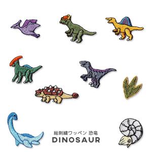 オリジナル刺繍ワッペン 恐竜 ・ プテラノドン ...の商品画像