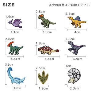 オリジナル刺繍ワッペン 恐竜 ・ プテラノドン...の詳細画像2