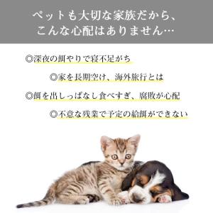 自動給餌器 猫 犬 自動餌やり機 4L 大容量...の詳細画像1