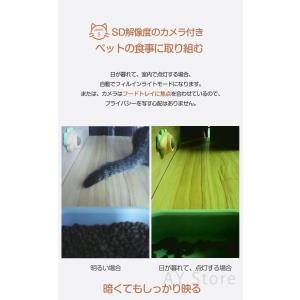 自動給餌器 猫 小型・中型犬用 3L 自動餌や...の詳細画像5